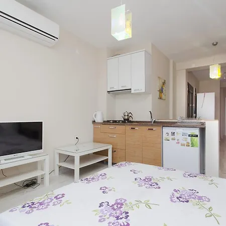 Zena House Konak *
